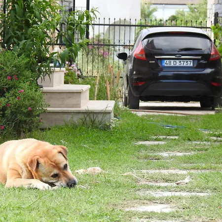 Karya Dalaman